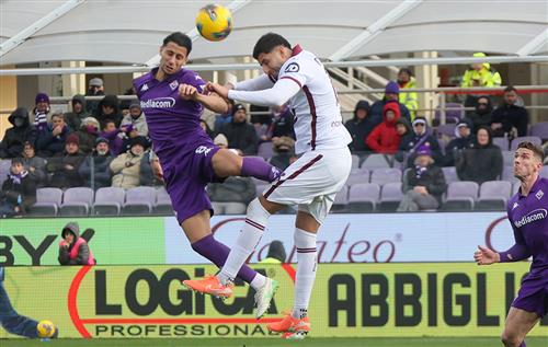 Fiorentina đấu với Torino