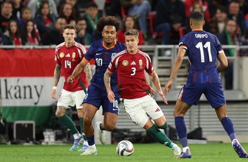 Hungary vs Hà Lan