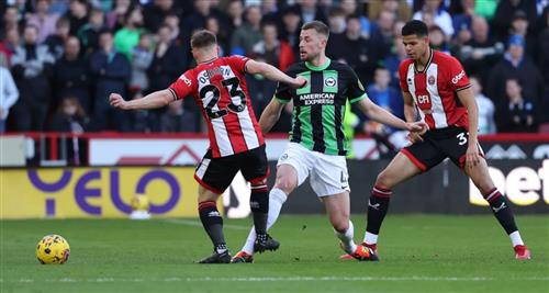 Sheffield United đấu với Brighton