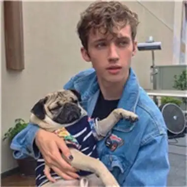 6686体育特邀作者猫咕